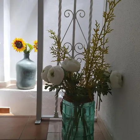 Tatil Evi La Motilla